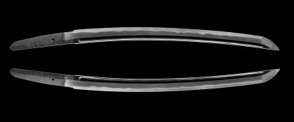 脇差 武蔵太郎安国 真十五枚甲伏作 / Wakizashi Musashi Taro Yasukuni Shin 15 mai Kobuse saku